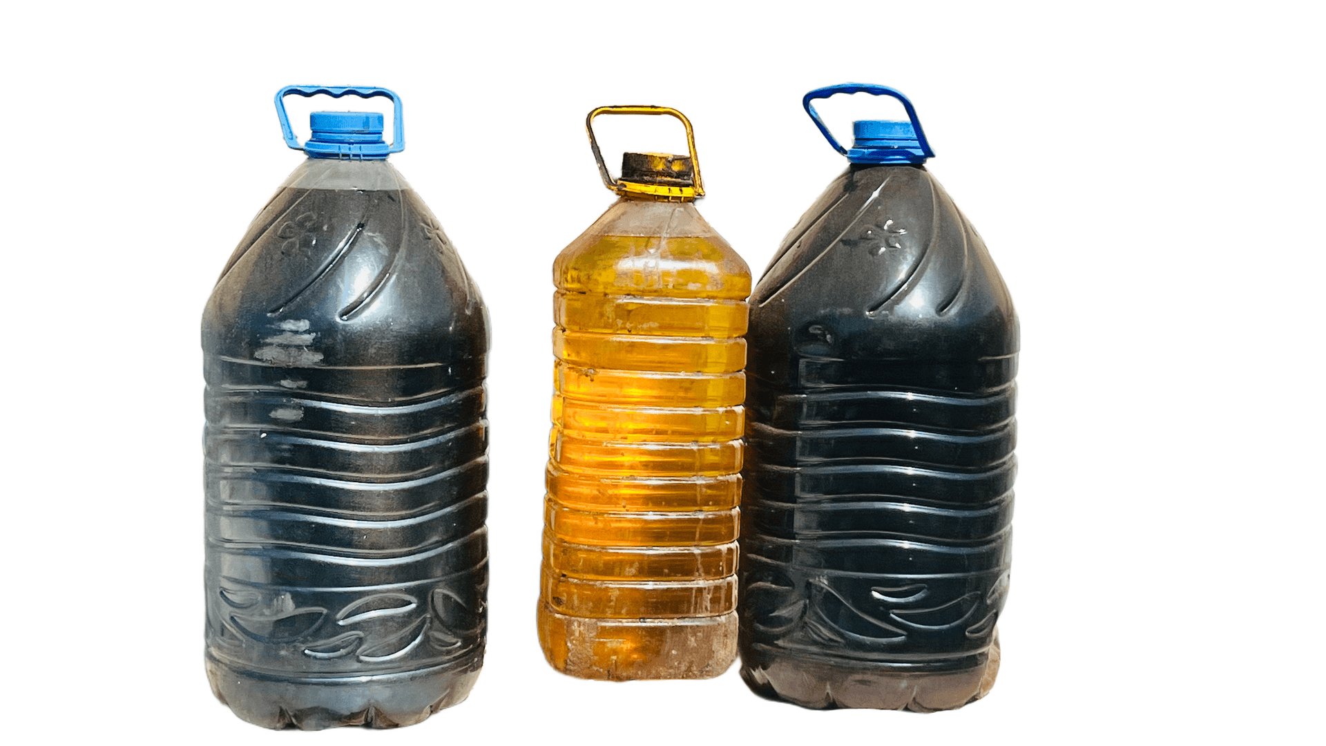 Nos Domaines d'Action